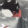Rio Mizutani